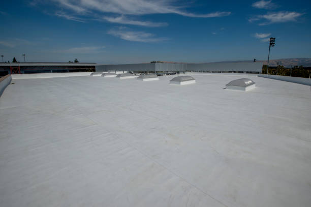 Best Rubber Roofing (EPDM, TPO)  in Henagar, AL